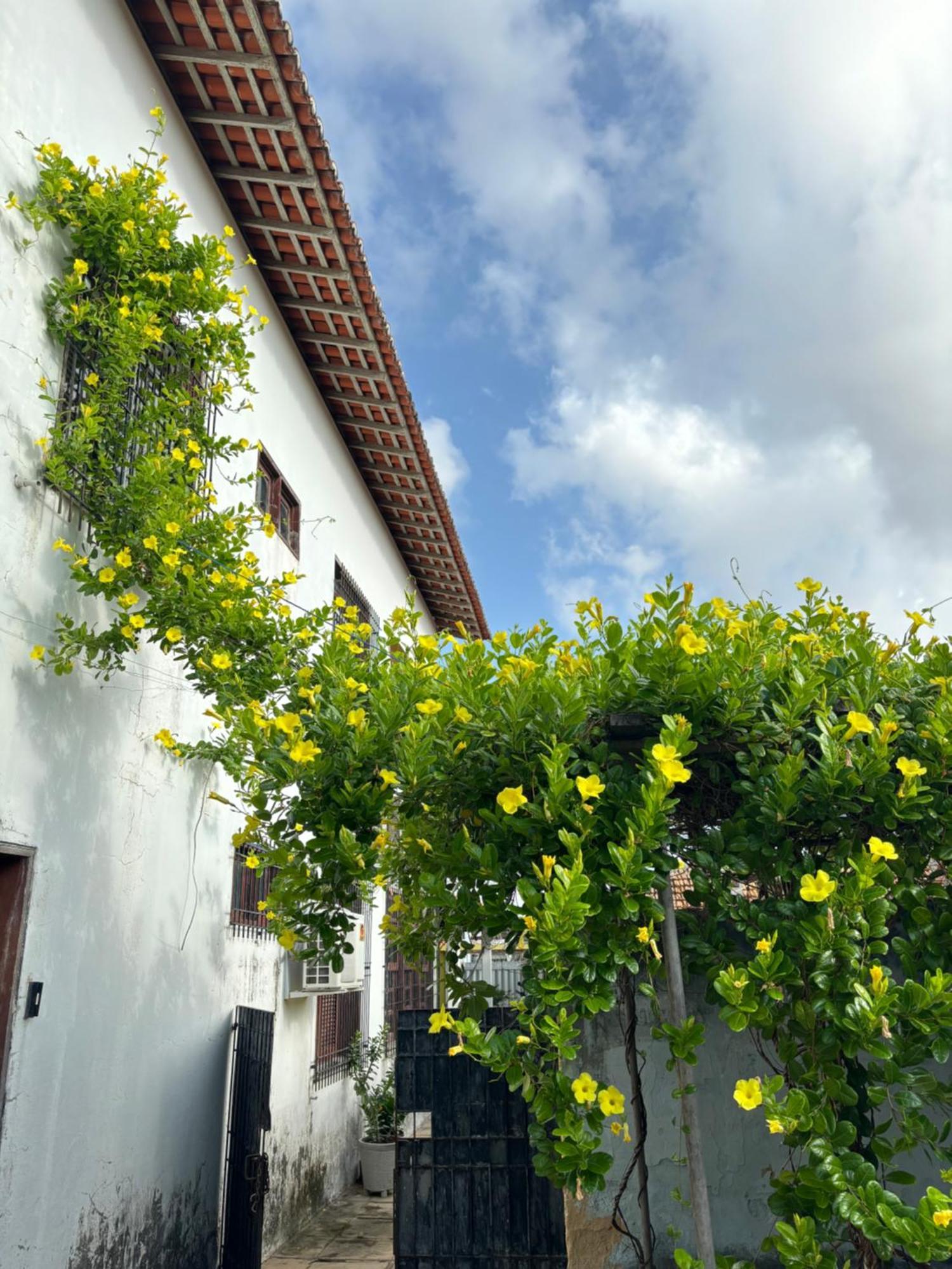 Parnaiba Hostel Exterior photo